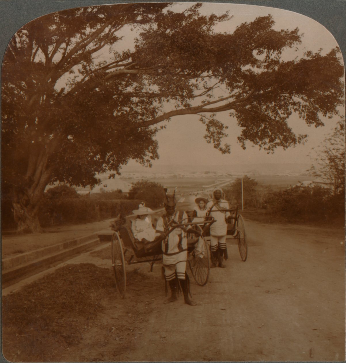 سيارات أجرة رسمها السكان الأصليون على طريق الإقامة ، ديربان ، جنوب أفريقيا ، c1900 بواسطة غير معروف
