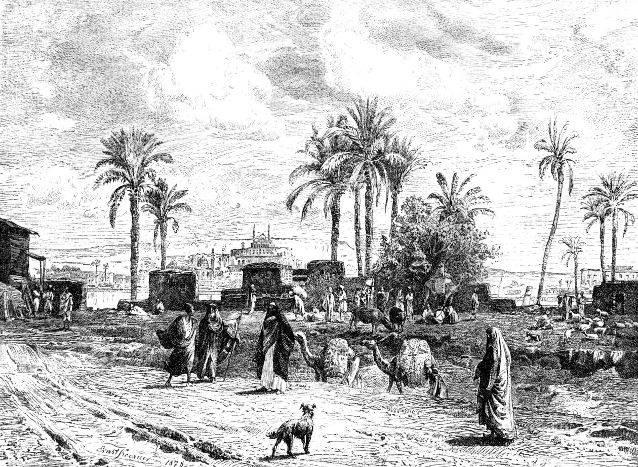 رؤية القاهرة للضفة اليسرى للنيل ، 1881 بواسطة غير معروف