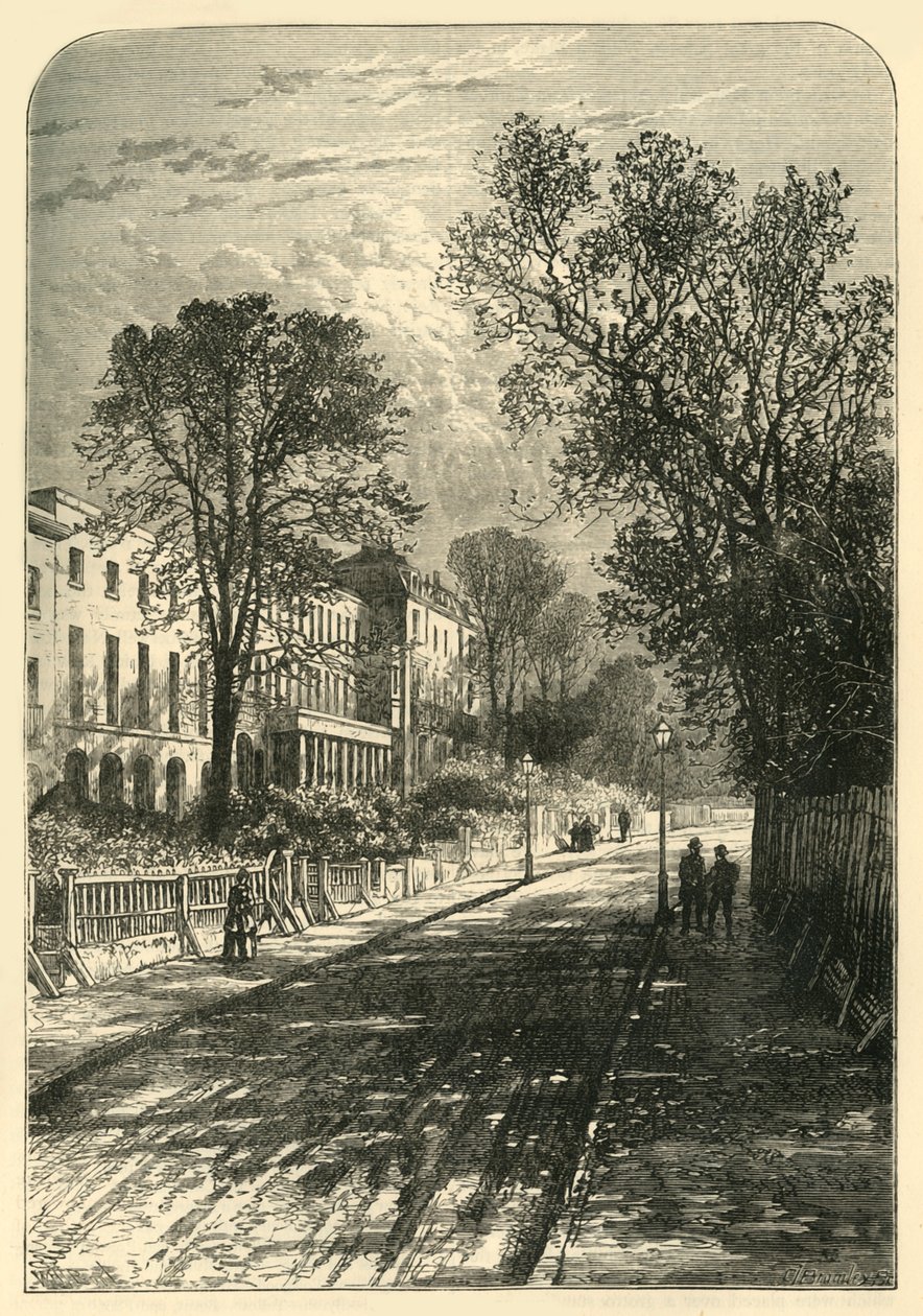 كامبرويل جروف ، c1878. بواسطة غير معروف