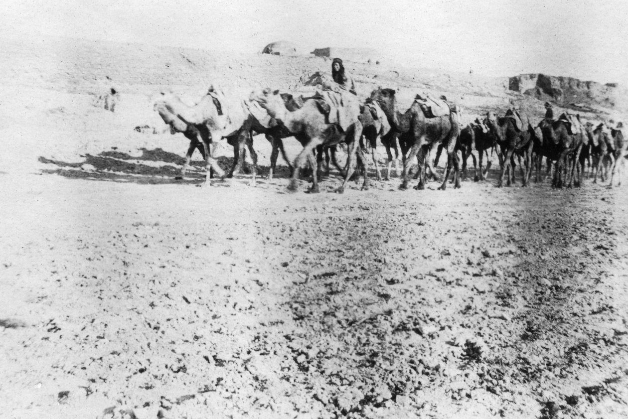 قطار الجمال ، الموصل ، بلاد الرافدين ، 1918 بواسطة غير معروف