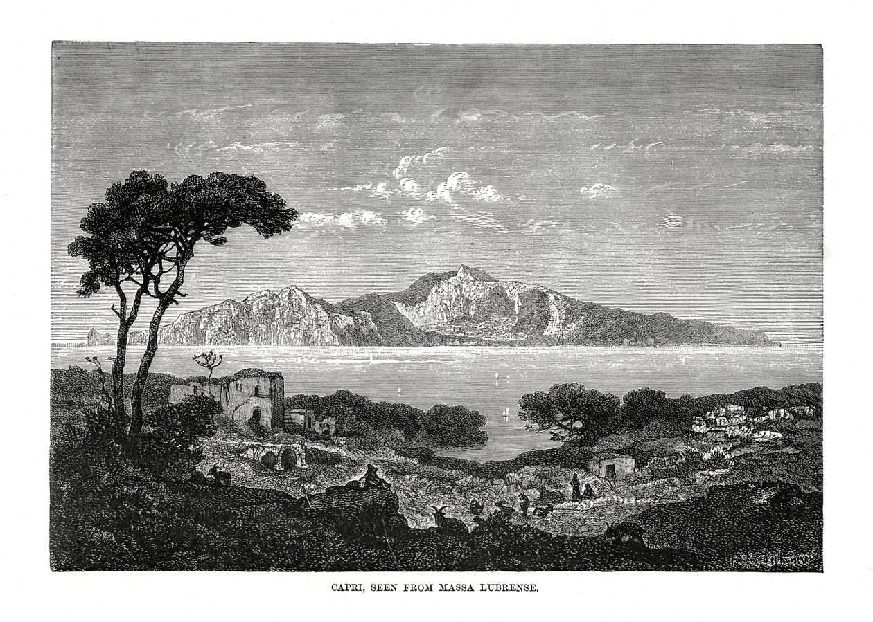 رأيت كابري من ماسا لوبرينس ، إيطاليا ، 1879 بواسطة غير معروف