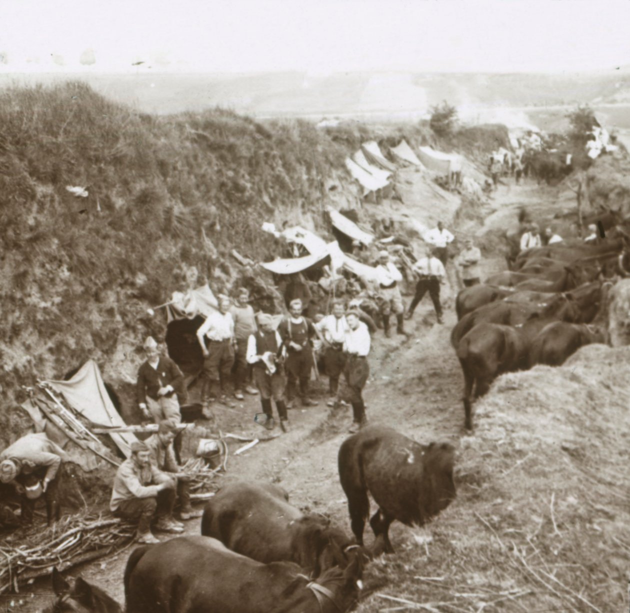 سلاح الفرسان ، c1914-c1918 بواسطة غير معروف