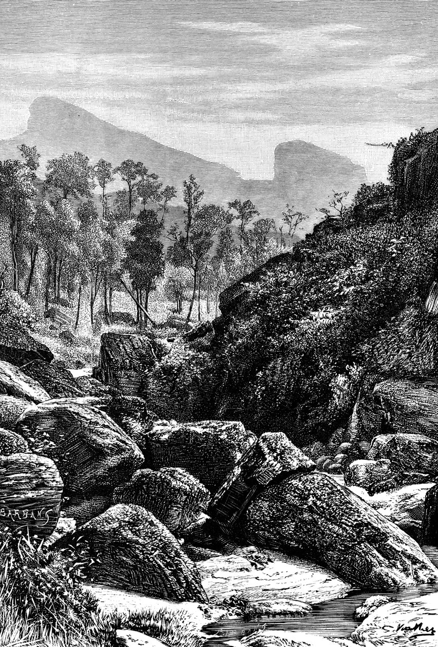 سيلان سريلانكا ، 1895 بواسطة غير معروف