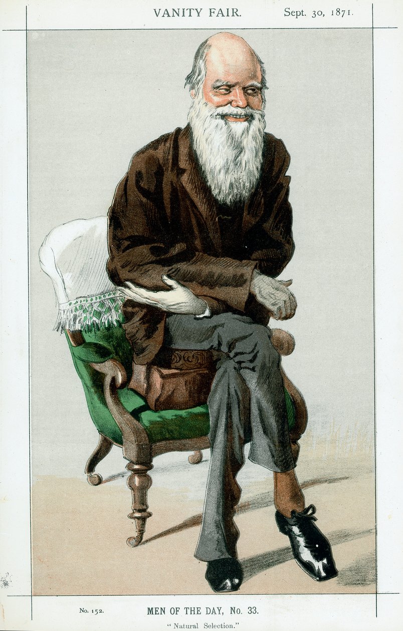 تشارلز داروين ، عالم الطبيعة الإنجليزية ، 1871 بواسطة غير معروف