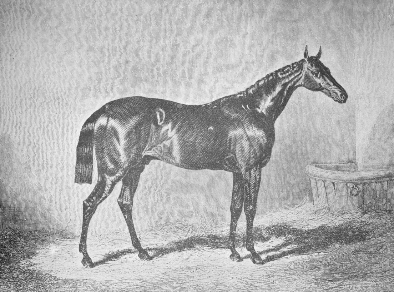 تشارلز الثاني عشر ، الفائز في St. Leger 1839 ، 1911 بواسطة غير معروف