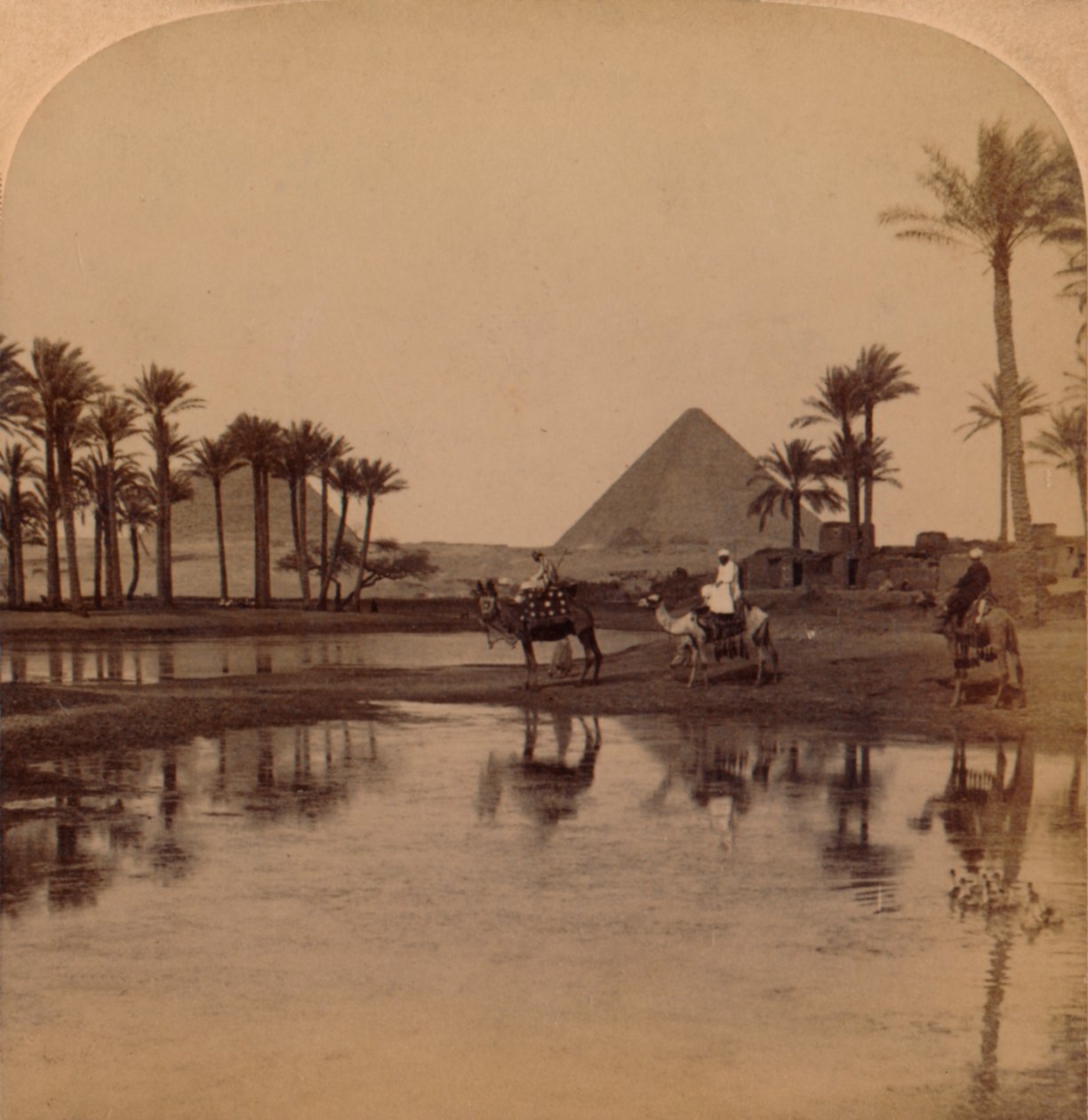 خوفو من وادي النيل الخصيب ، مصر ، 1896 بواسطة غير معروف