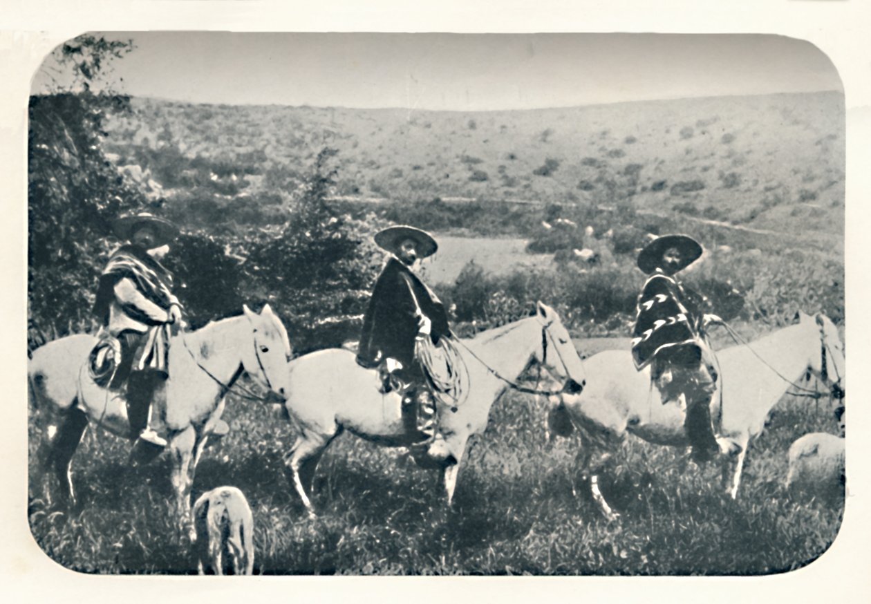 شيلان كاوبويز ، 1911 بواسطة غير معروف