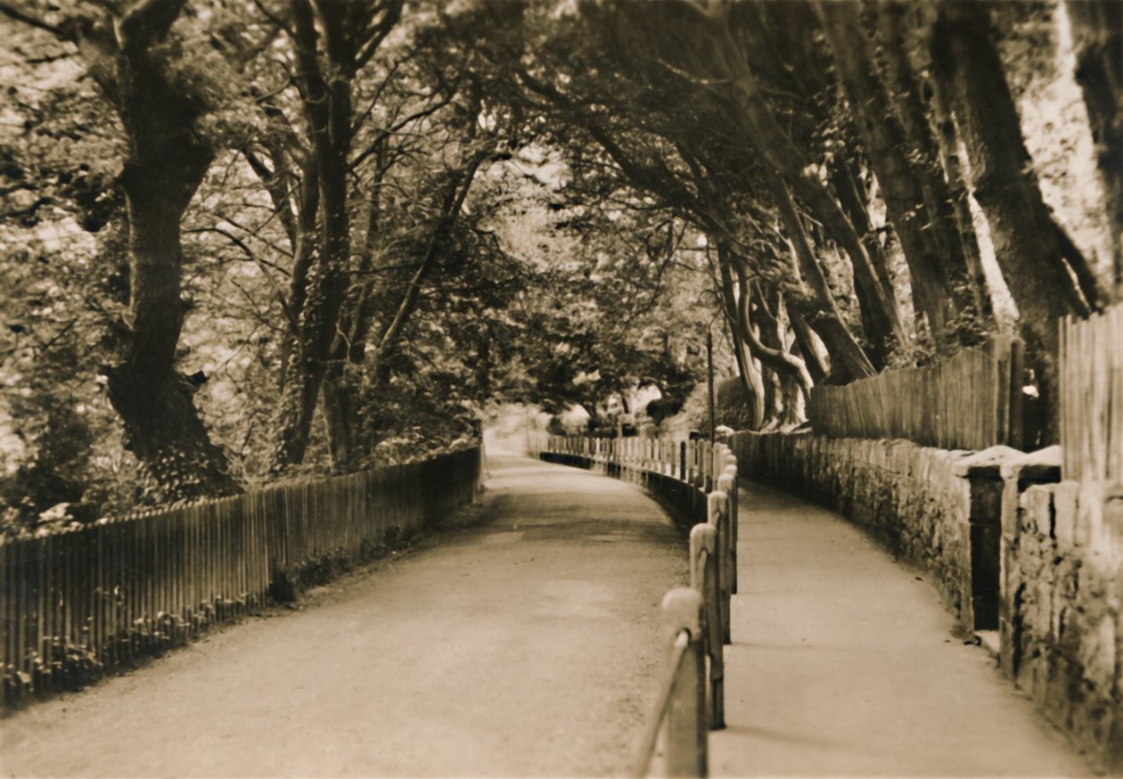 شارع شاين ، شانكلين ، آي دبليو ، c1920. بواسطة غير معروف