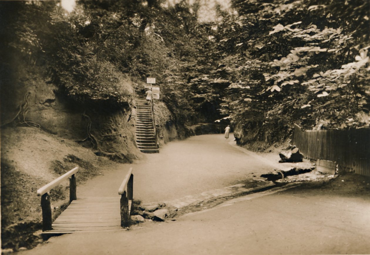 Chine Hollow ، Shanklin ، IW ، c1920. بواسطة غير معروف