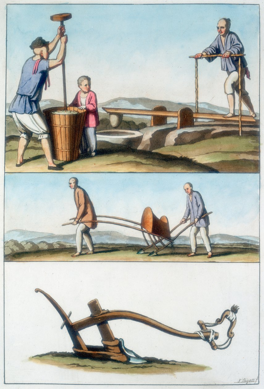 الزراعة الصينية ، 1825-1835 بواسطة غير معروف
