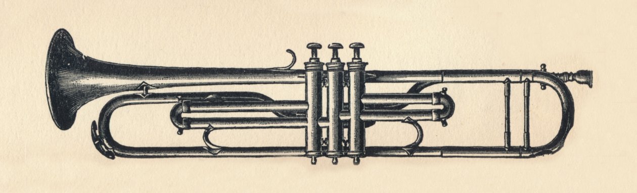 لوني البوق 1895. بواسطة غير معروف