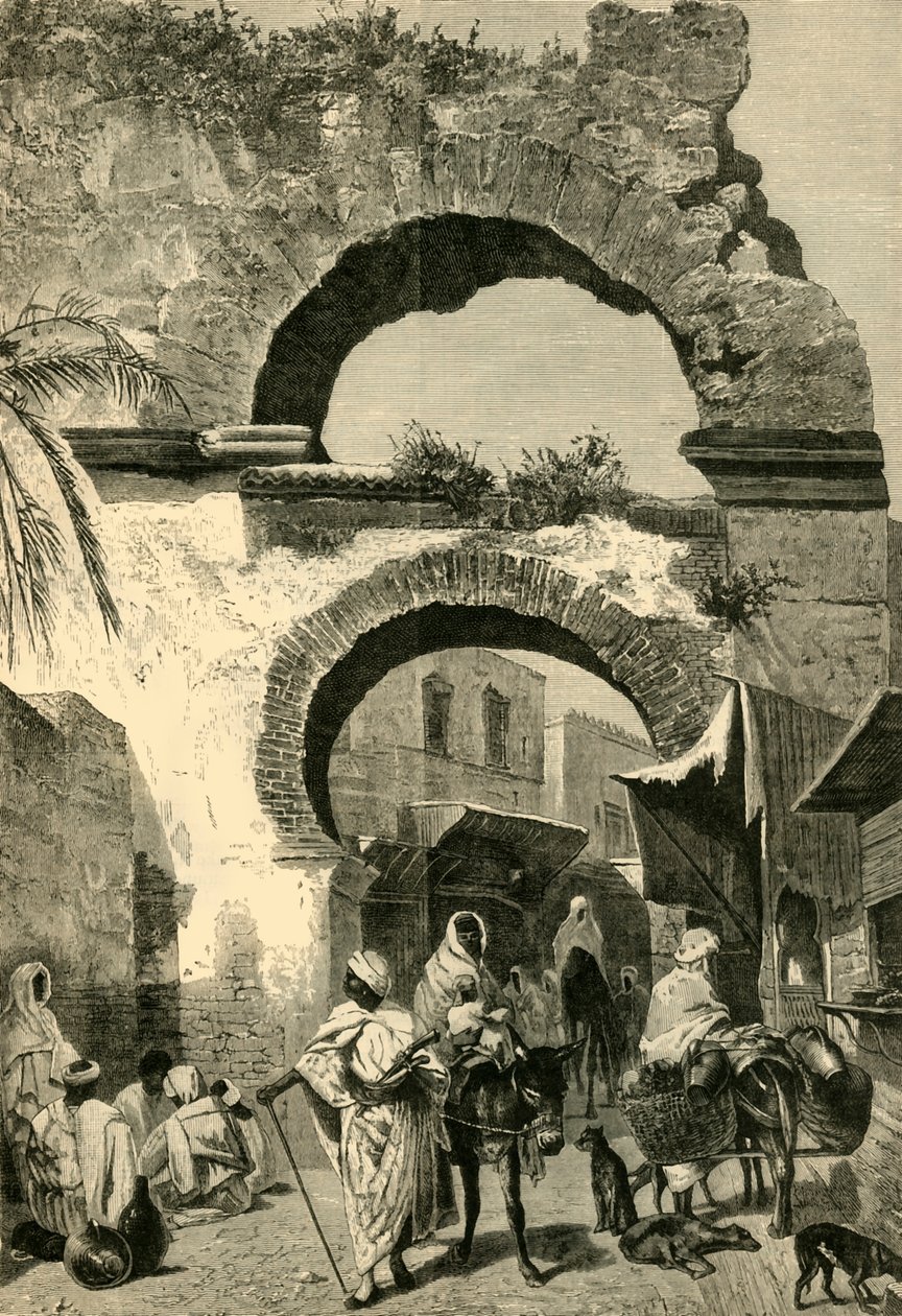 بوابة المدينة في تونس ، 1881. بواسطة غير معروف