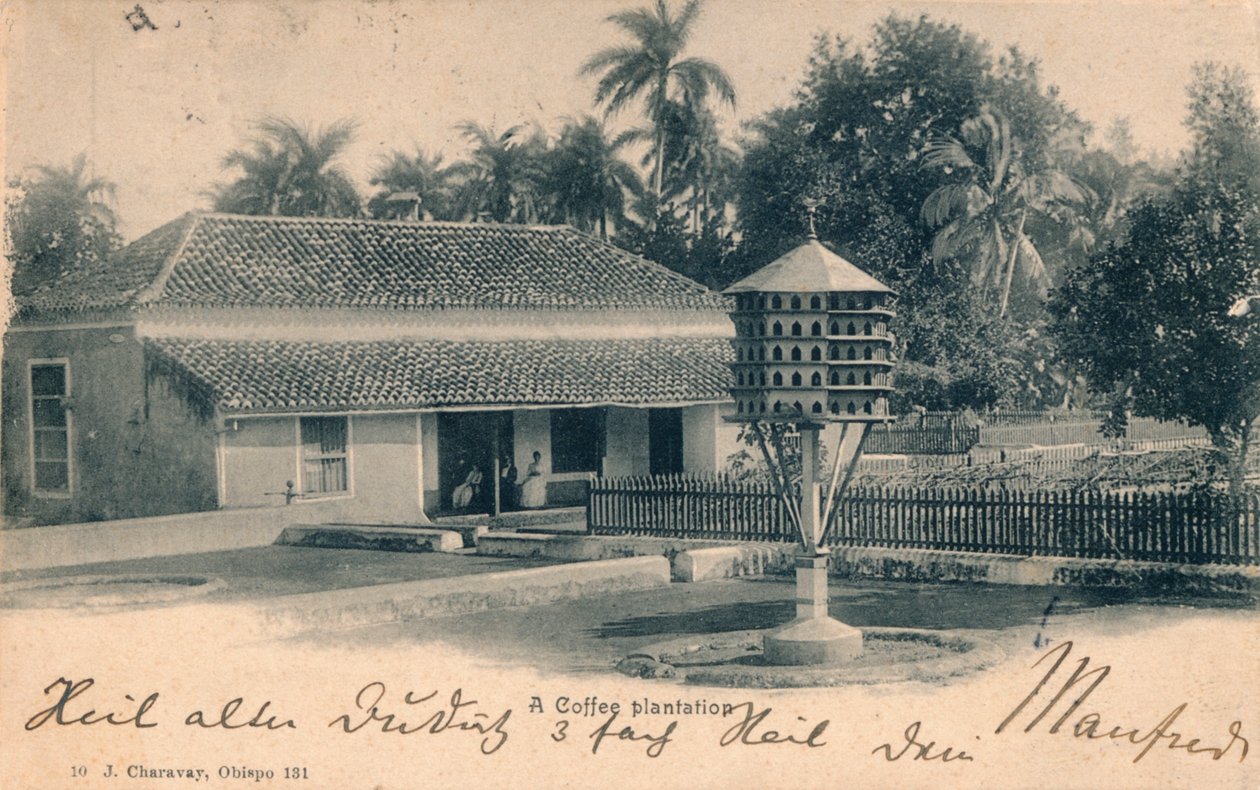 مزرعة البن ، c1900 بواسطة غير معروف