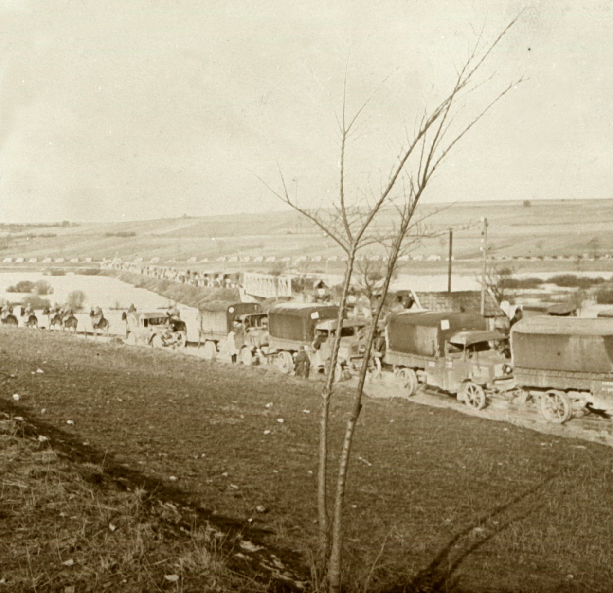 عمود الشاحنات على Voie Sacrée ، فردان ، شمال فرنسا ، c1914-c1918. بواسطة غير معروف
