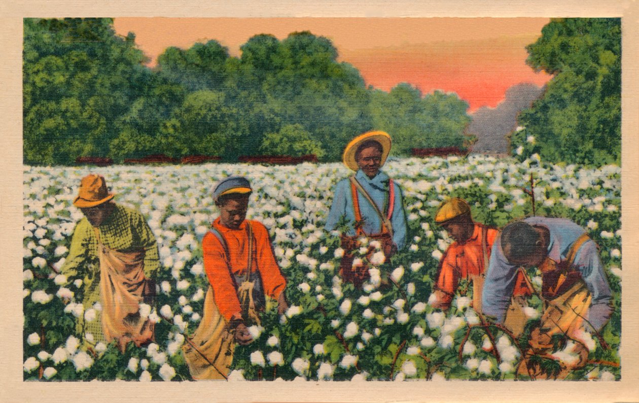 قطف القطن ، أوغوستا ، جورجيا ، 1943 بواسطة غير معروف
