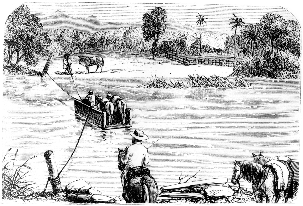 عبور إيزابيلا ، سانتو دومينغو ، 1873 بواسطة غير معروف