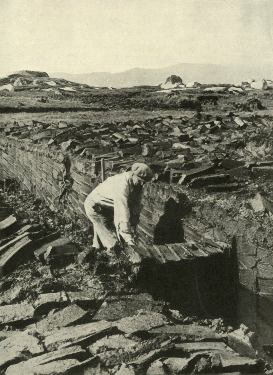 قص القطع ، c1948. بواسطة غير معروف