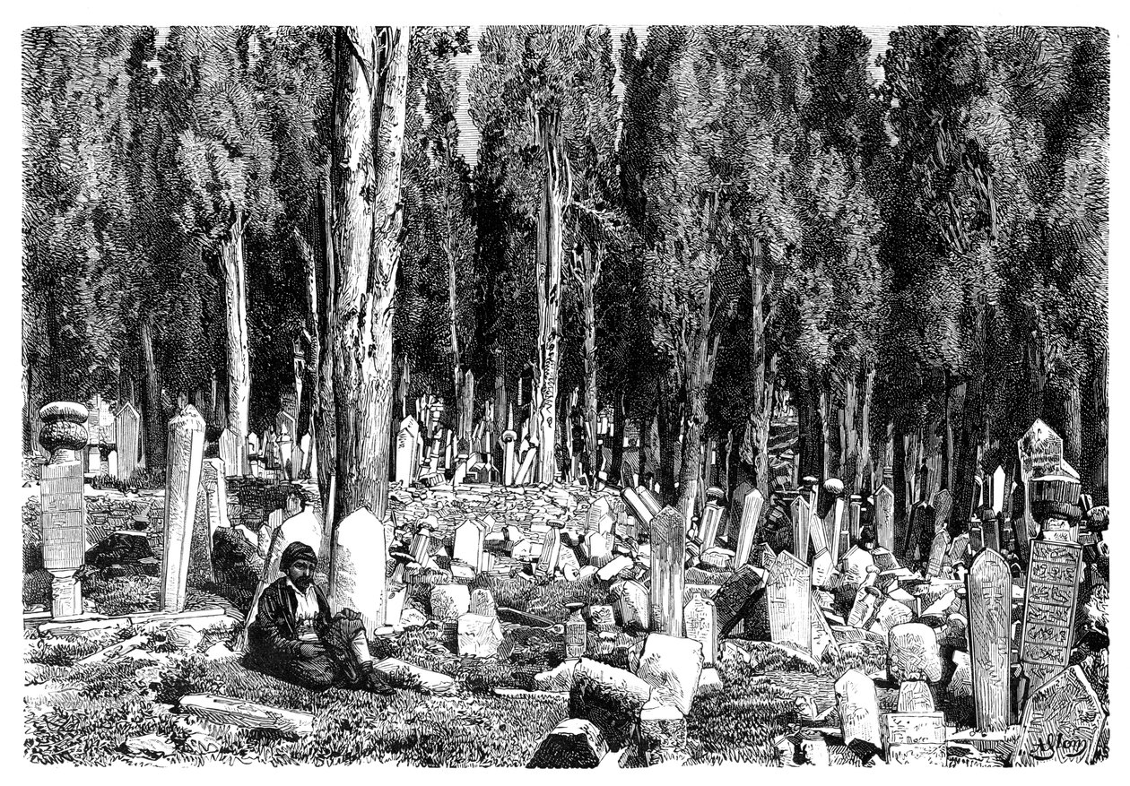 أشجار السرو في مقبرة سكوتاري ، تركيا ، 1895 بواسطة غير معروف