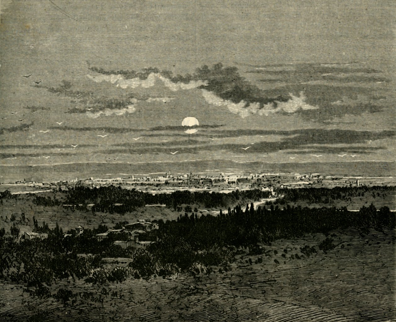 دمشق 1890. بواسطة غير معروف