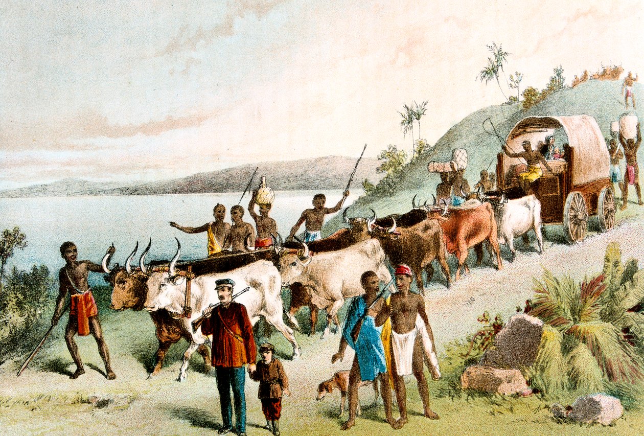 ديفيد ليفينغستون ، المبشر الاسكتلندي والمستكشف الأفريقي ، 1849 c1878 بواسطة غير معروف