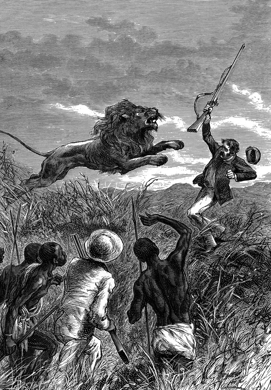 ديفيد ليفينغستون ، المبشر الاسكتلندي والمستكشف الأفريقي ، اتهمه أسد ، c1860 بواسطة غير معروف