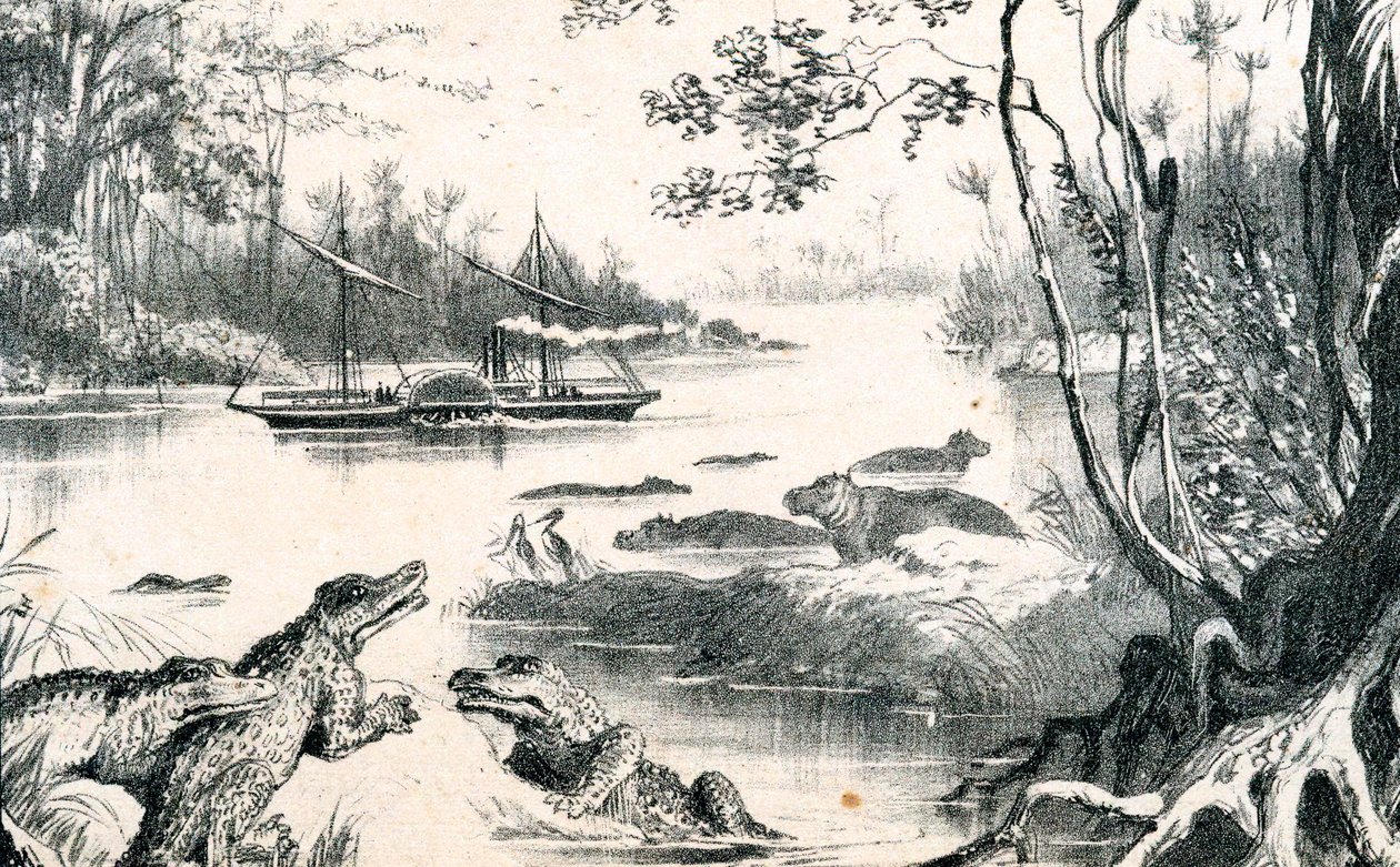 ديفيد ليفينغستون يتنقل في زامبيزي ، إفريقيا ، 1852-1864 c1878 بواسطة غير معروف