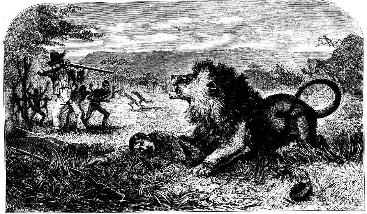 ديفيد ليفينغستون ، تم إنقاذه من أسد بواسطة ميبالوي ، مدير مدرسة محلي ، 1857 بواسطة غير معروف