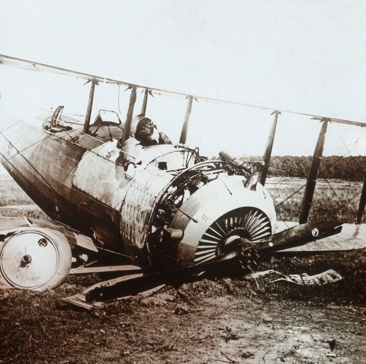 طيار ميت في إسقاط طائرة سلمسون ، c1914-c1918 بواسطة غير معروف