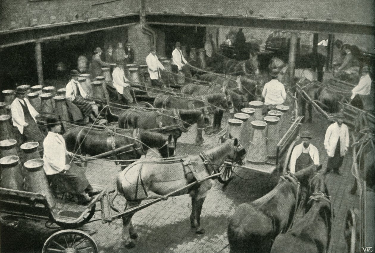 عربات التوصيل ابتداءً من السادة ، فريث وبوكوكس ، مستودع مركزي في فوكسهول ، 1902. بواسطة غير معروف