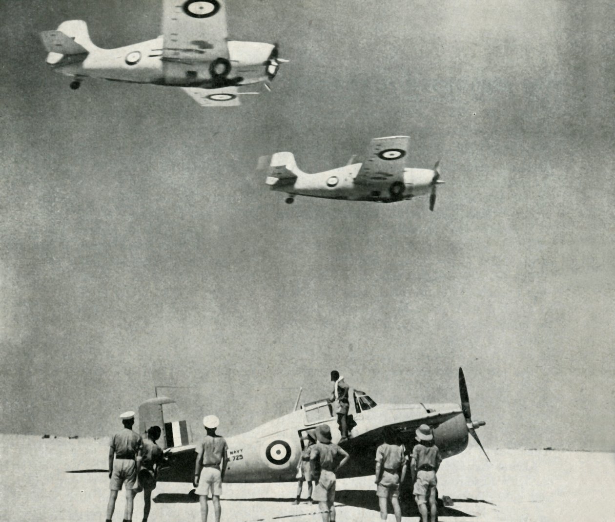 سرب الصحراء - طائرات الذراع الجوية للأسطول خلال الحرب العالمية الثانية ، c1943. بواسطة غير معروف