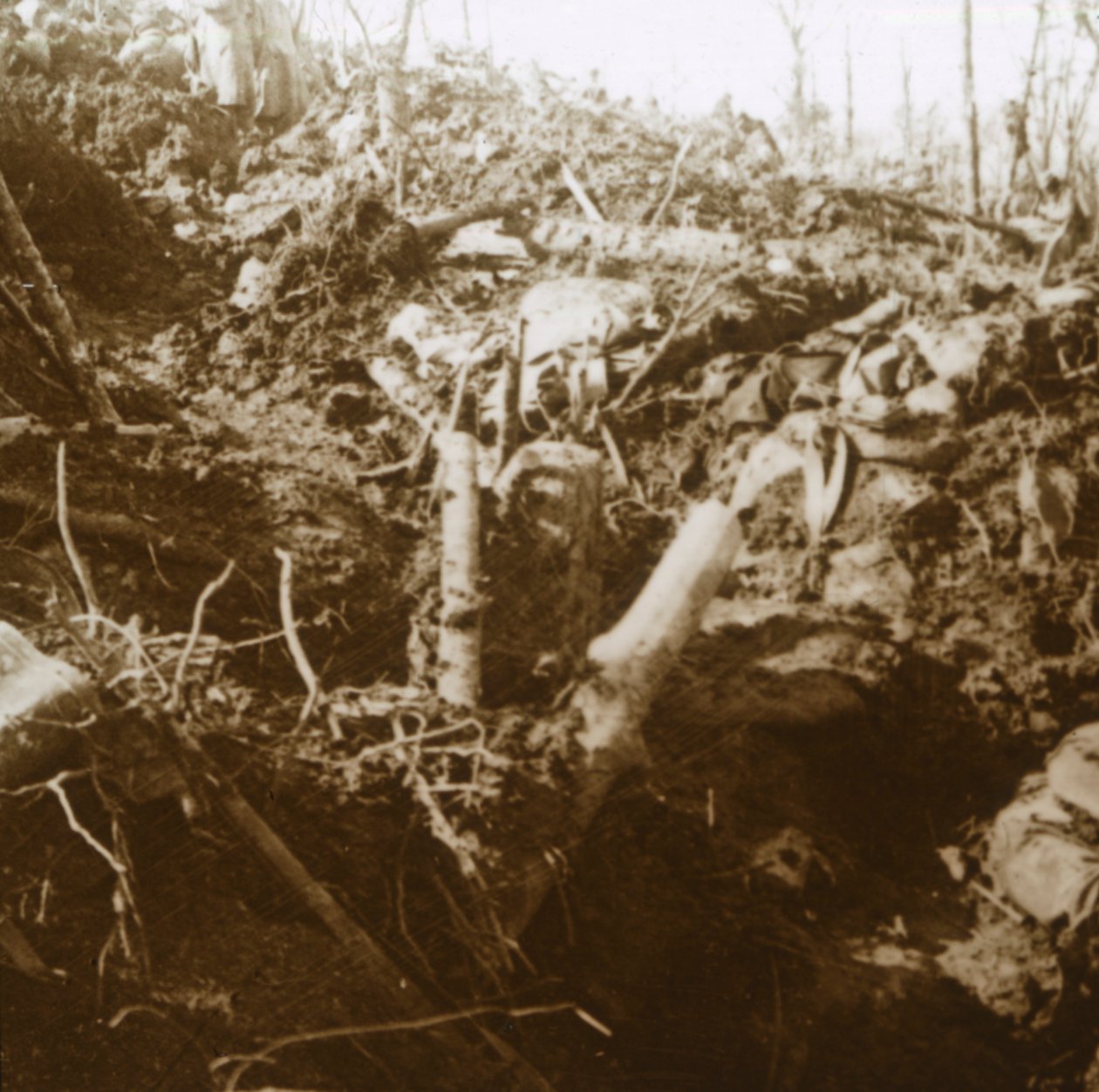الملجأ المدمر ، ليه Éparges ، شمال فرنسا ، 1915. بواسطة غير معروف