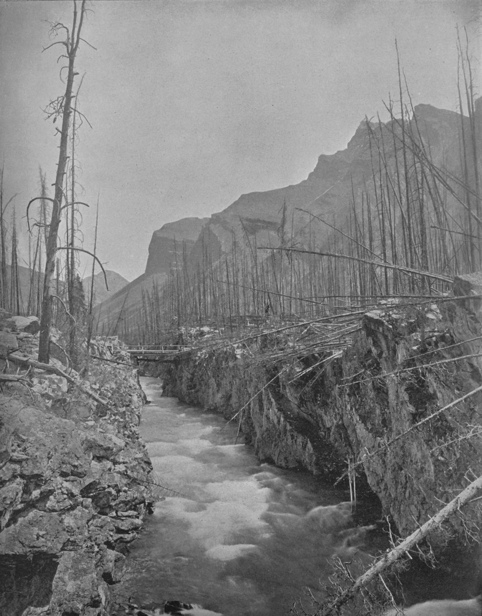 Devils Canyon ، بانف ، NWT ، كندا ، c1897. بواسطة غير معروف