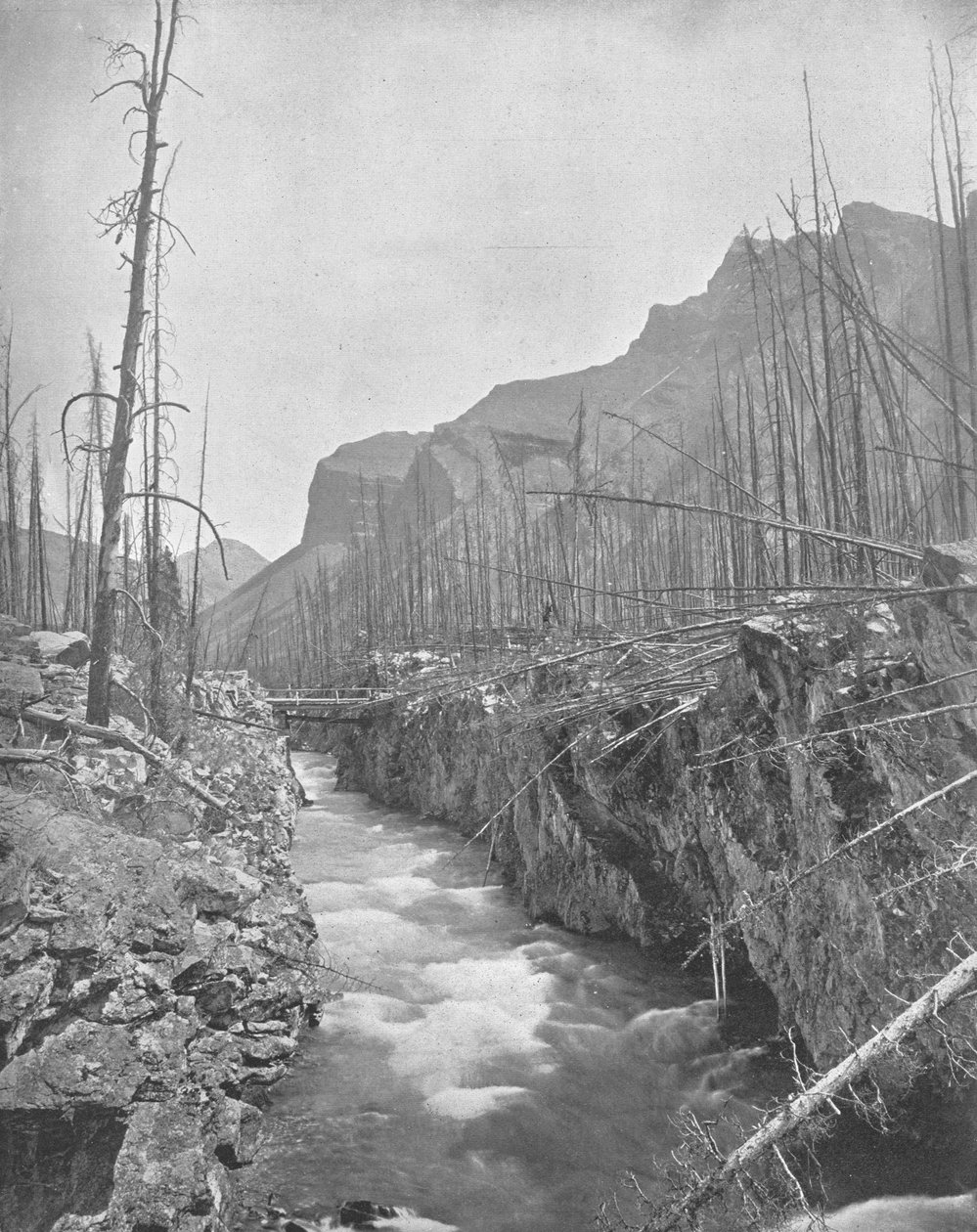 Devils Canyon ، بانف ، الأقاليم الشمالية الغربية ، كندا ، c1900. بواسطة غير معروف