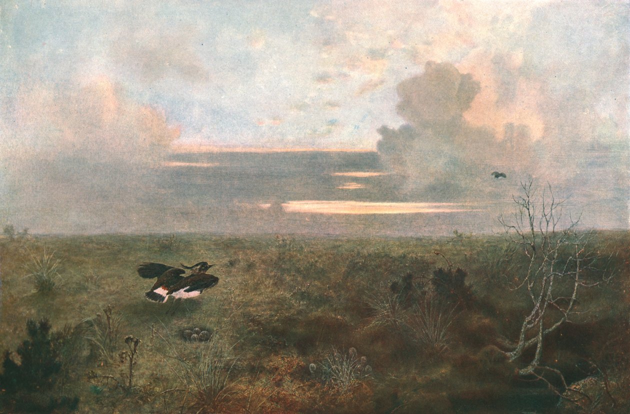 بالانزعاج: زقزاق يتصاعد من عشه ، 1879 ، c1902. بواسطة غير معروف