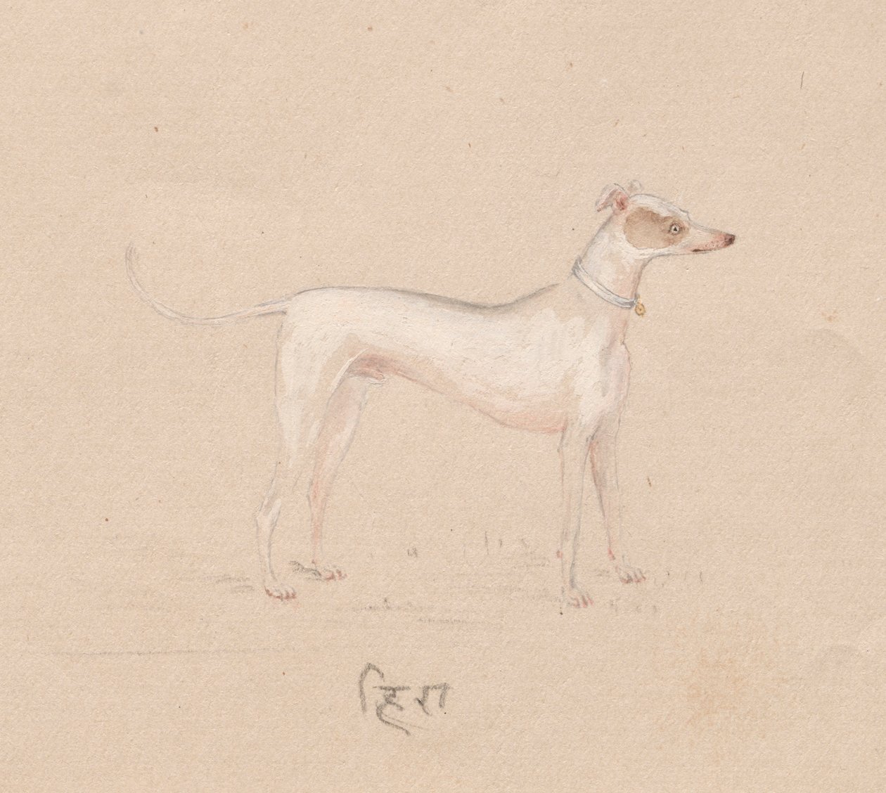 كلب ، 1800s. بواسطة غير معروف