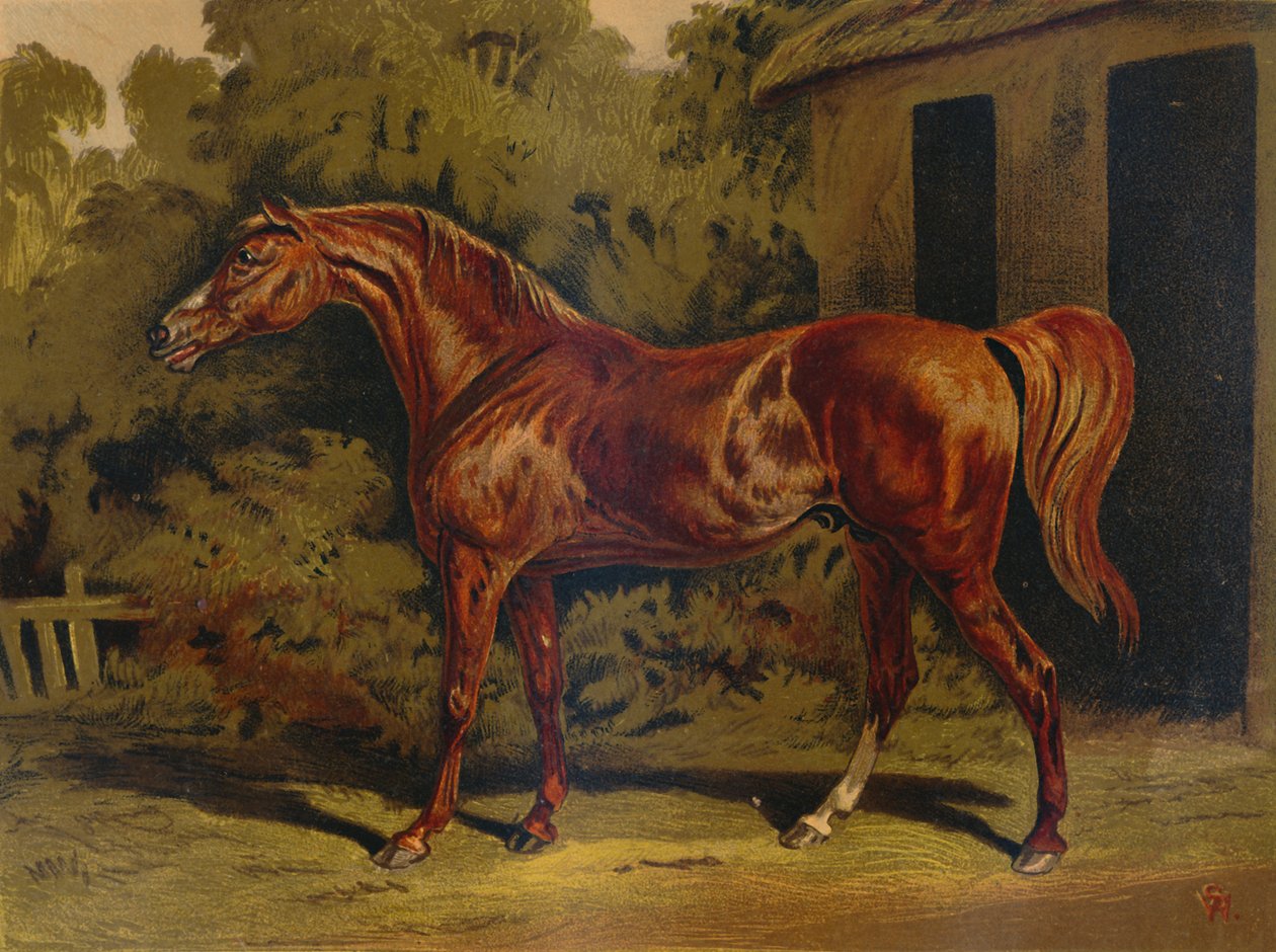كسوف ، c1879. بواسطة غير معروف