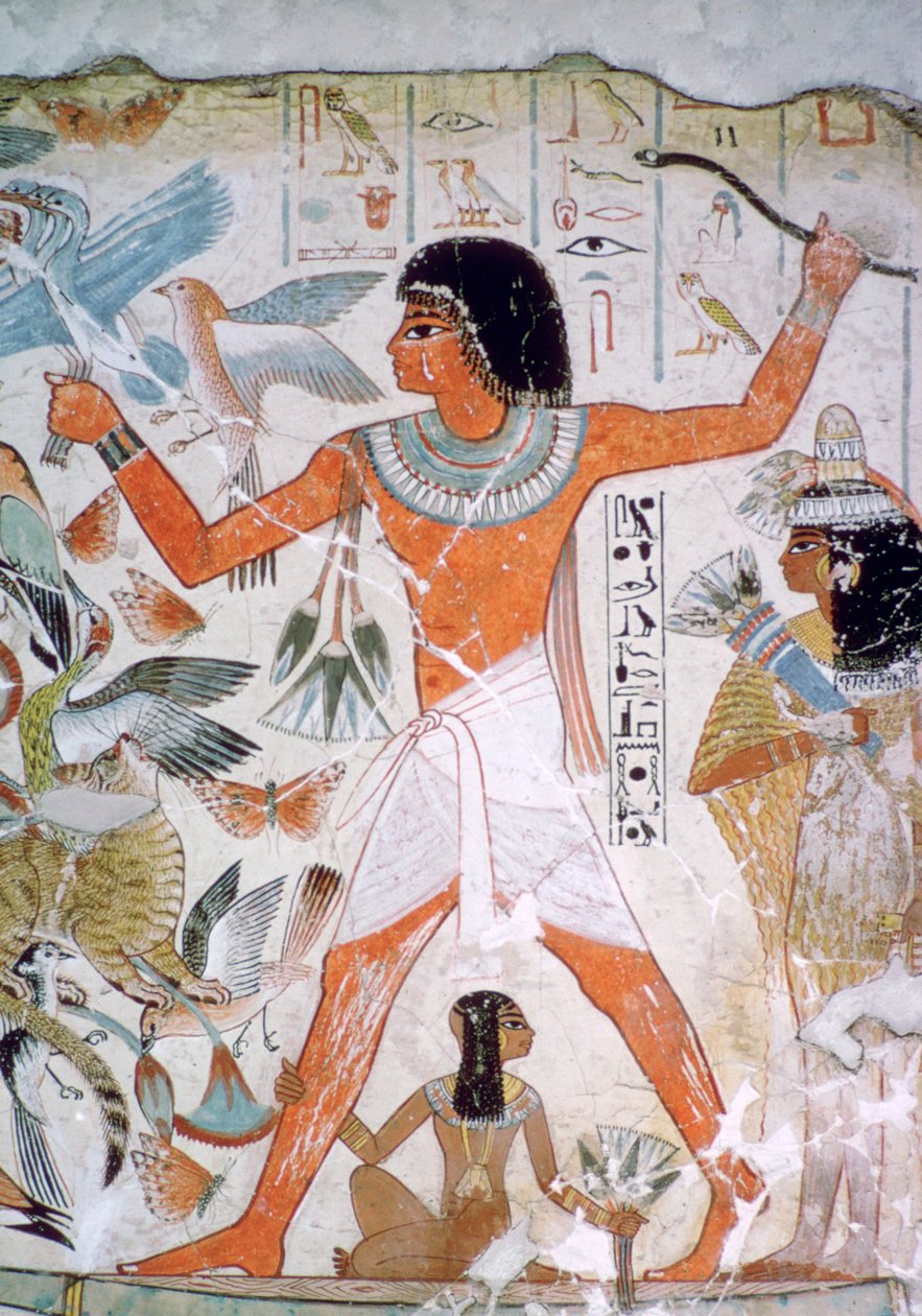 رسم جداري مصري للطيور بواسطة غير معروف