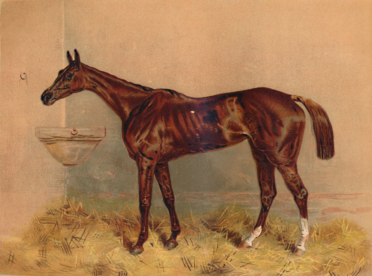 الشعار ، Steeplechase ماري ، c1879. بواسطة غير معروف