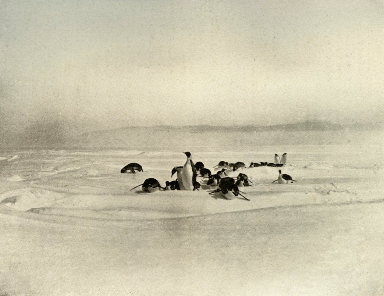 الأباطرة توبوجاننينج ، 1909 ، 1909 بواسطة غير معروف