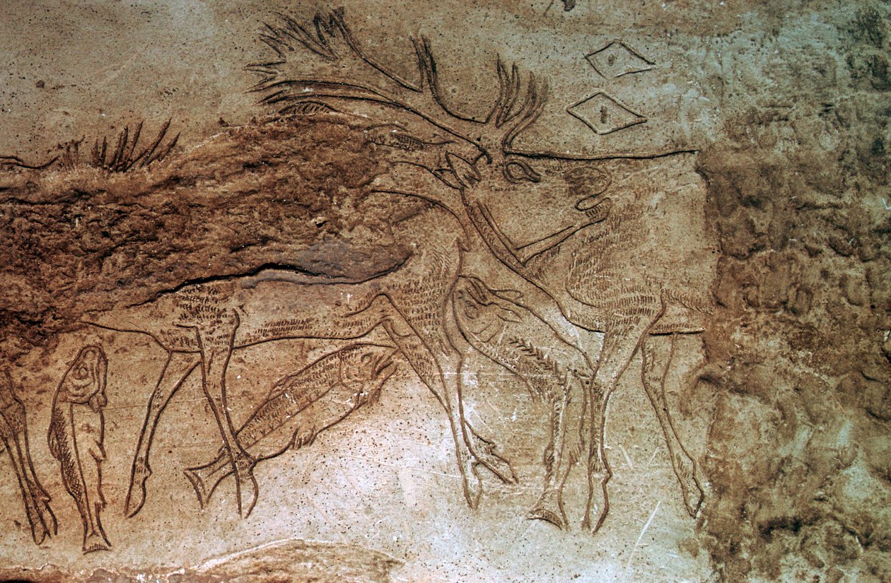 عظم محفور من Lortet ، Hautes Pyrenees بواسطة غير معروف