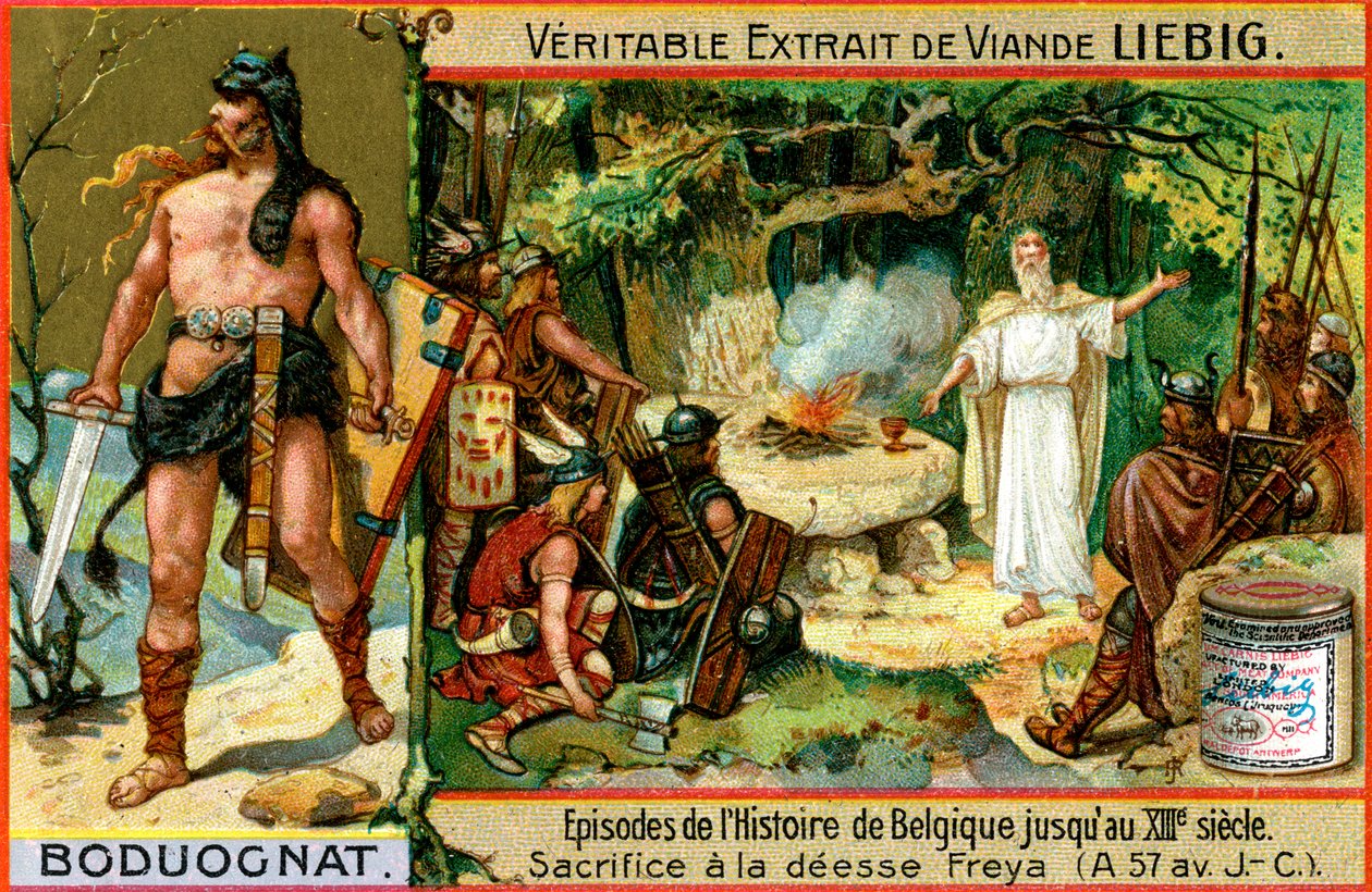 حلقات في تاريخ بلجيكا حتى القرن الثالث عشر: Boduognatus ، c1900 بواسطة غير معروف