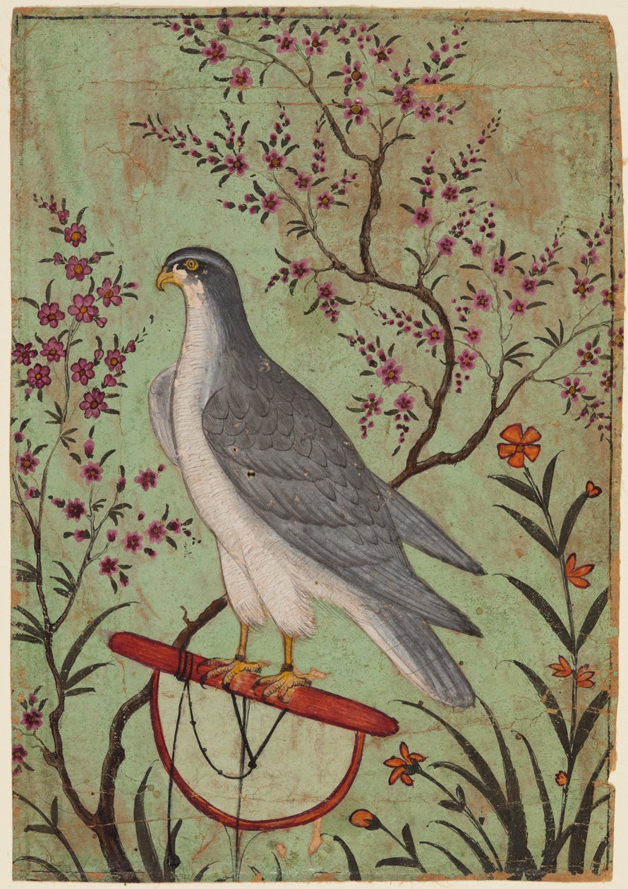 الصقر على جثم ، ج. 1610. بواسطة غير معروف