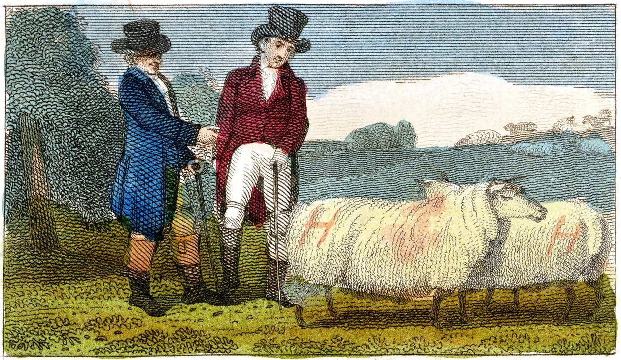 مزارعون يناقشون ضأن ديشلي نيو ليستر ، 1822 بواسطة غير معروف