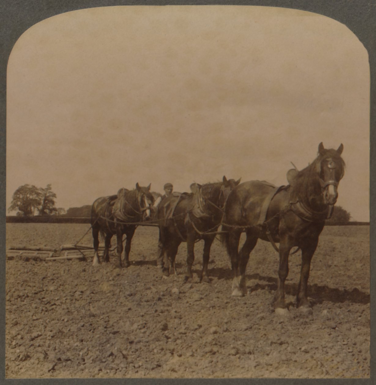 الزراعة في إنجلترا - Harrowing the Land ، 1909. بواسطة غير معروف