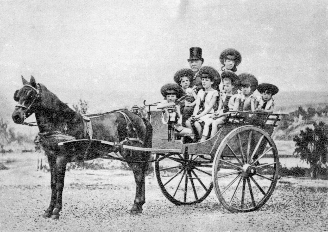 فرديناند ديليسبس ، دبلوماسي ورجل أعمال فرنسي ، 1875 بواسطة غير معروف