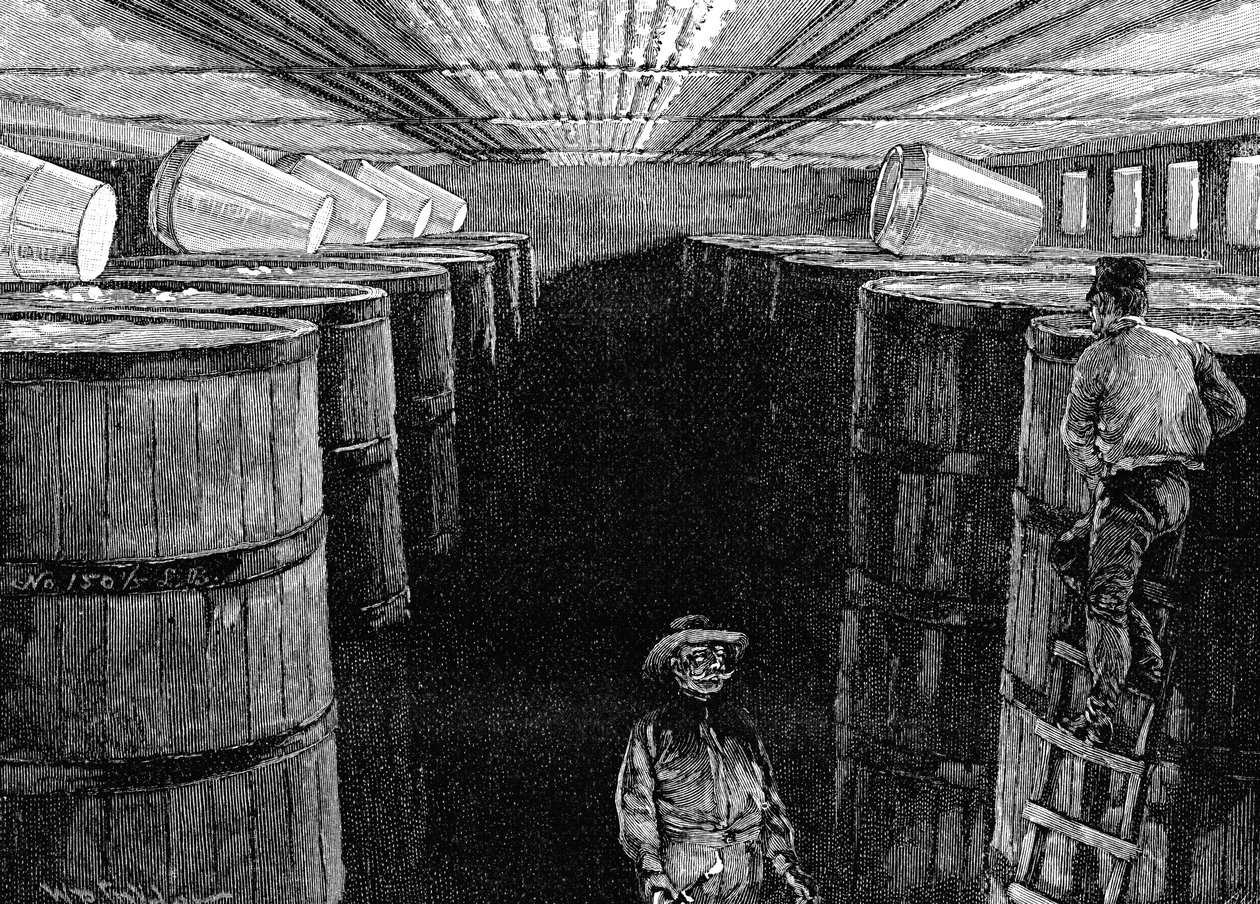 قبو تخمير في مصنع بيرة أمريكي ، 1885 بواسطة غير معروف