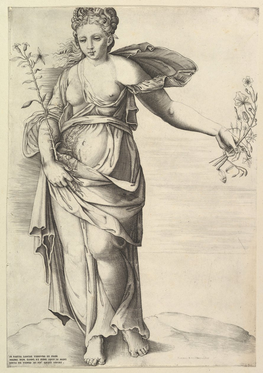 فلورا ، كاليفورنيا. 1560-1570. بواسطة غير معروف
