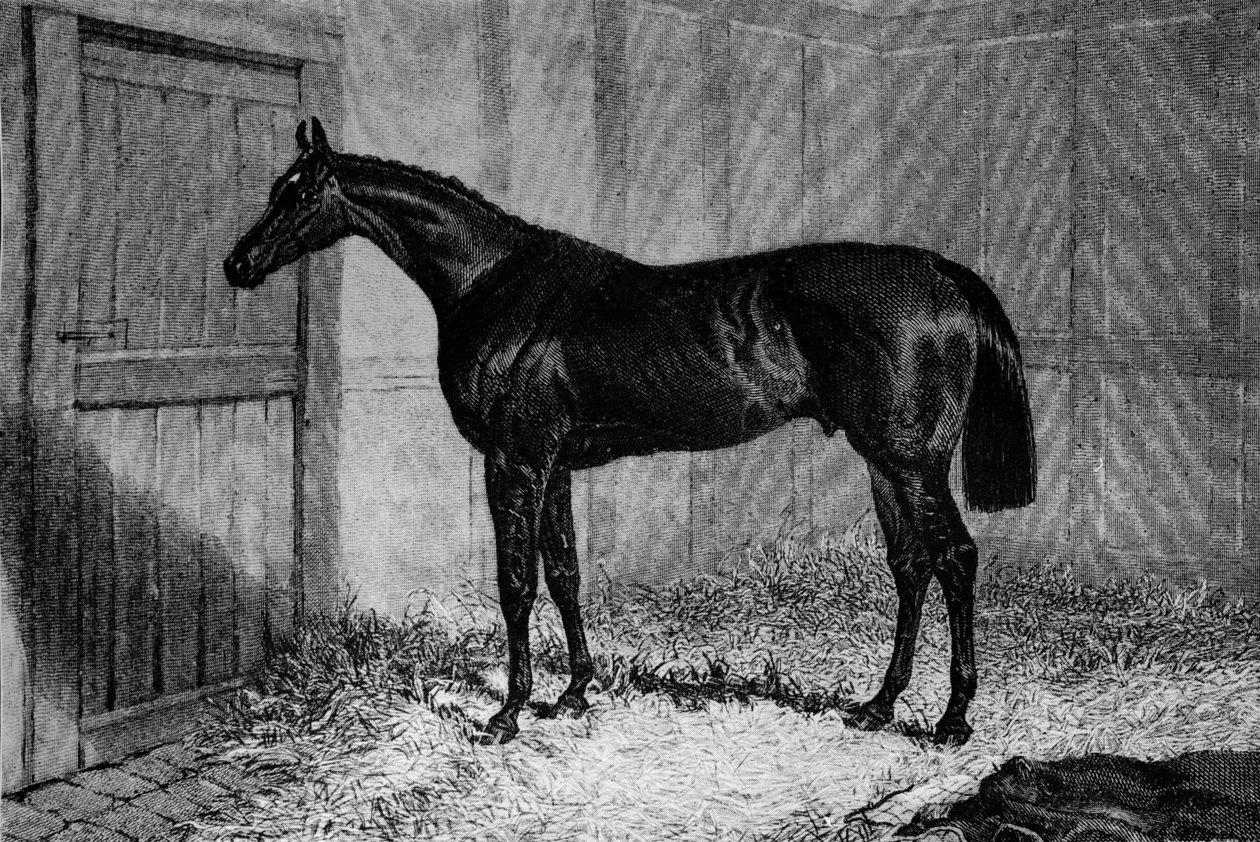 Foig-A-Ballagh ، c1841-1860 ، 1911 بواسطة غير معروف