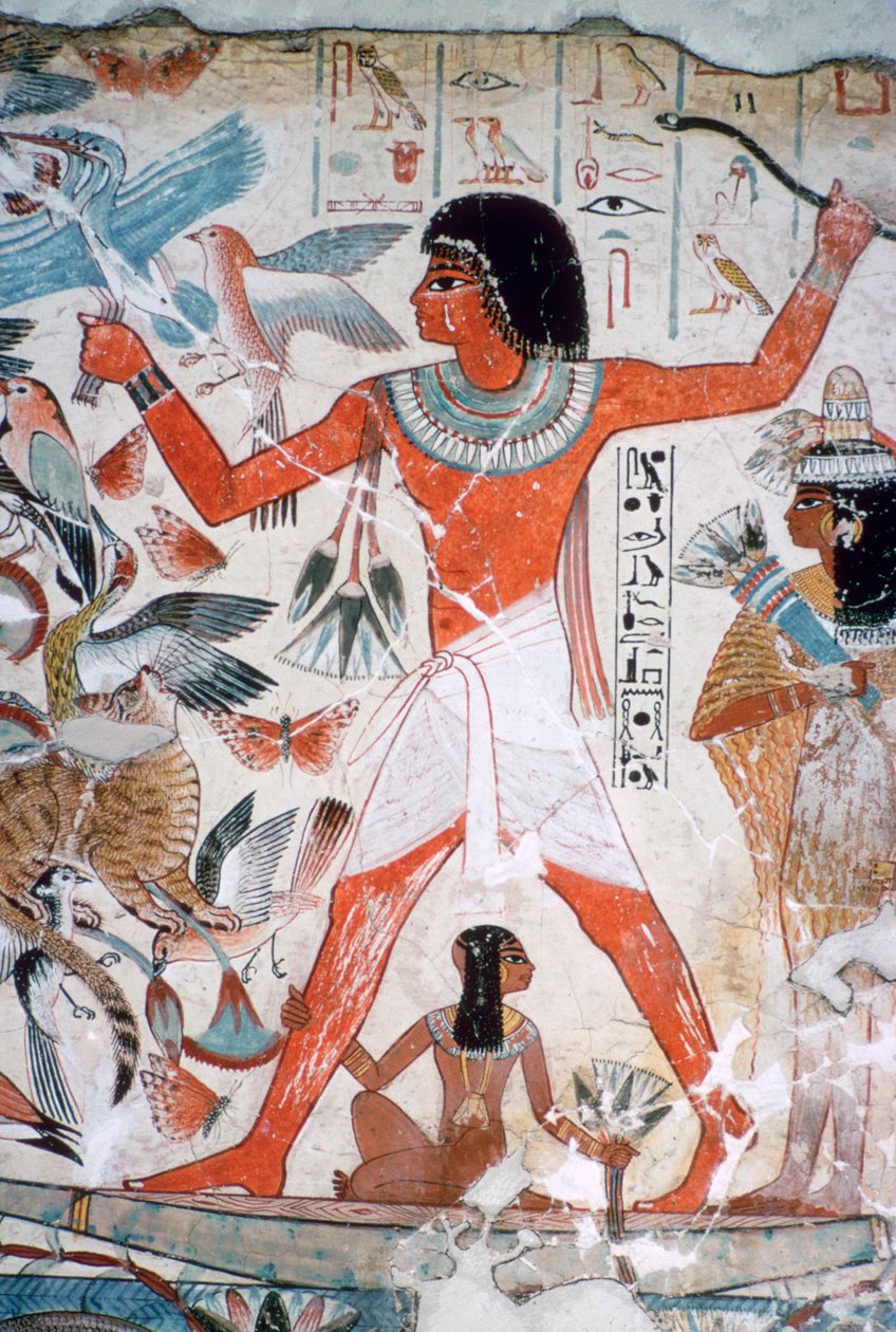 طائر في الأهوار: لوحة جدارية من مقبرة نيب آمون ، طيبة ، مصر ، حوالي 1350 قبل الميلاد. بواسطة غير معروف