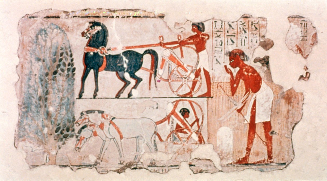 جزء من الجص المطلي المصري القديم الذي يوضح حساب الحصاد ، c1400 قبل الميلاد بواسطة غير معروف